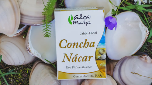 Jabón concha nácar